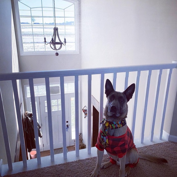 Meet your Posher, J - Picture 5 of 5